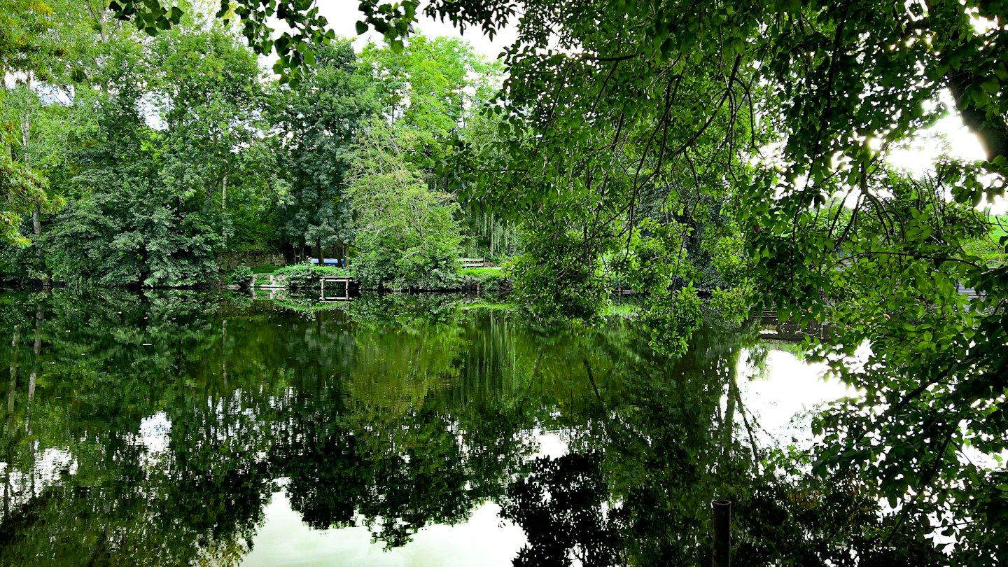 A calm pond reflects dense green trees and foliage.