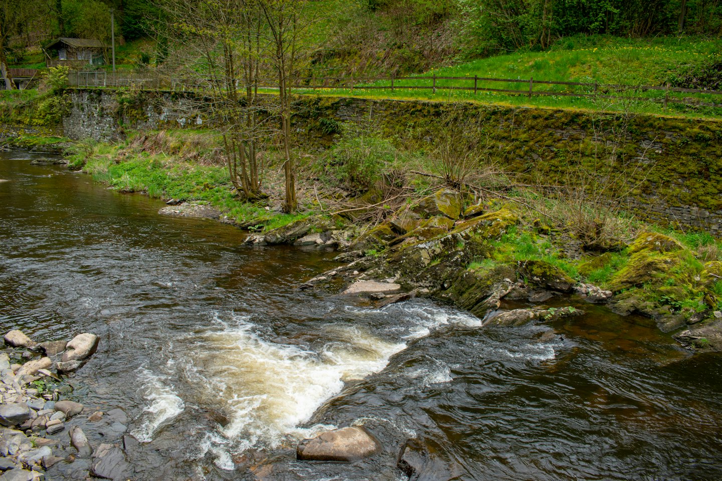 A rushing river flows past a wooden cabin in the forest.