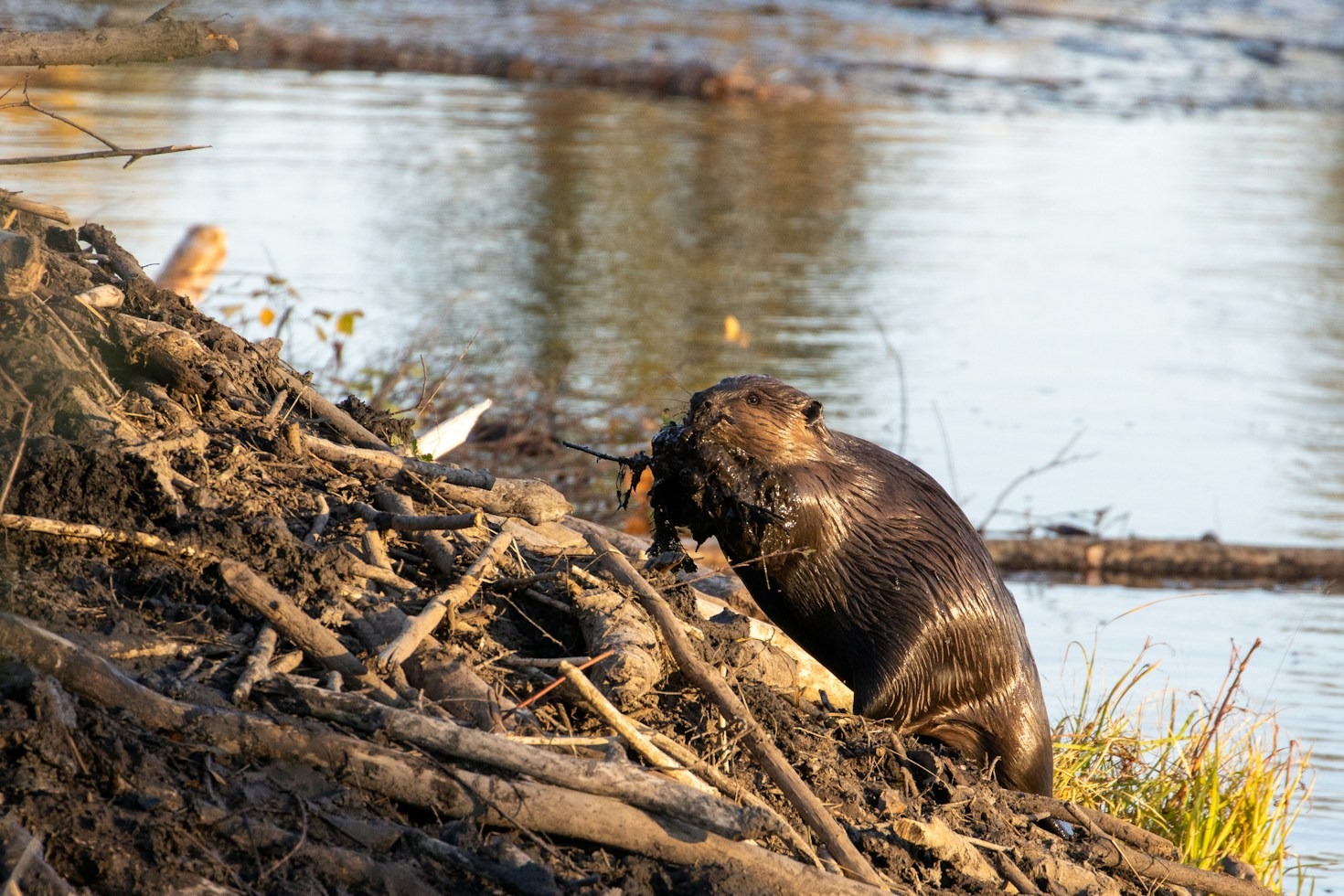 The Quiet Struggles of Life Beyond the Shoreline