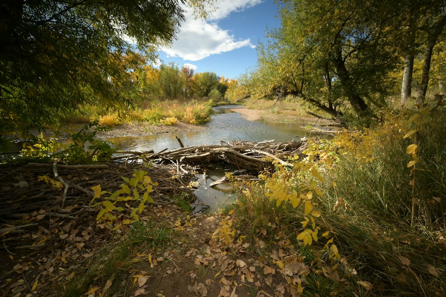 Daily Survival Lessons Learned from the Deep Creek